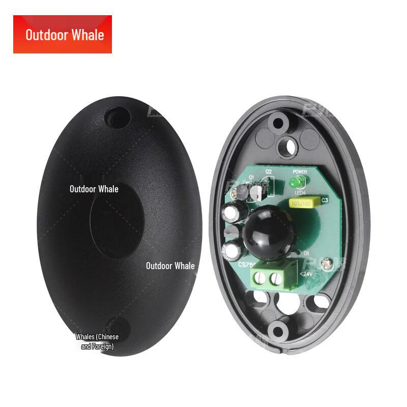 Outdoor Single Beam Infrared Wall Alarm Detector