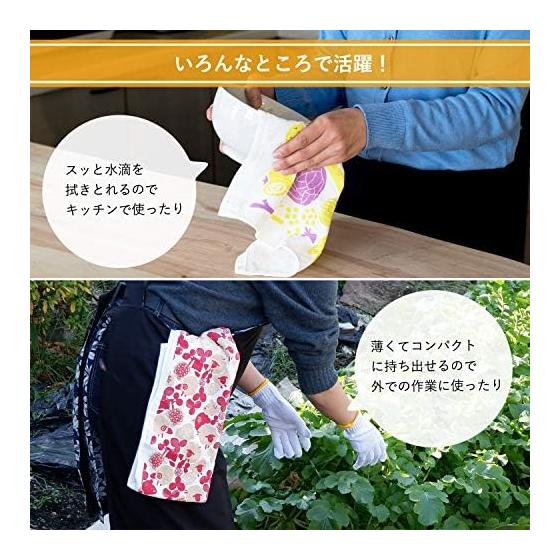 Transparen Japanese Gauze Towel Face Towel Set of 5 Assorted Palette Gauze Towels, One Side Pile, One Side Gauze, Senshu Towel, Quick Dry, Thin,