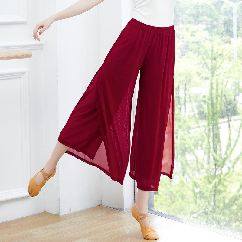 Women's Modern Ethnic Jazz Mesh Wide-Leg Dance Pants with Flowy Slits