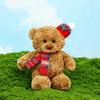 Plush Toy Bear Cute Cartoon Girl Children Birthday Holiday Christmas Gift Doll