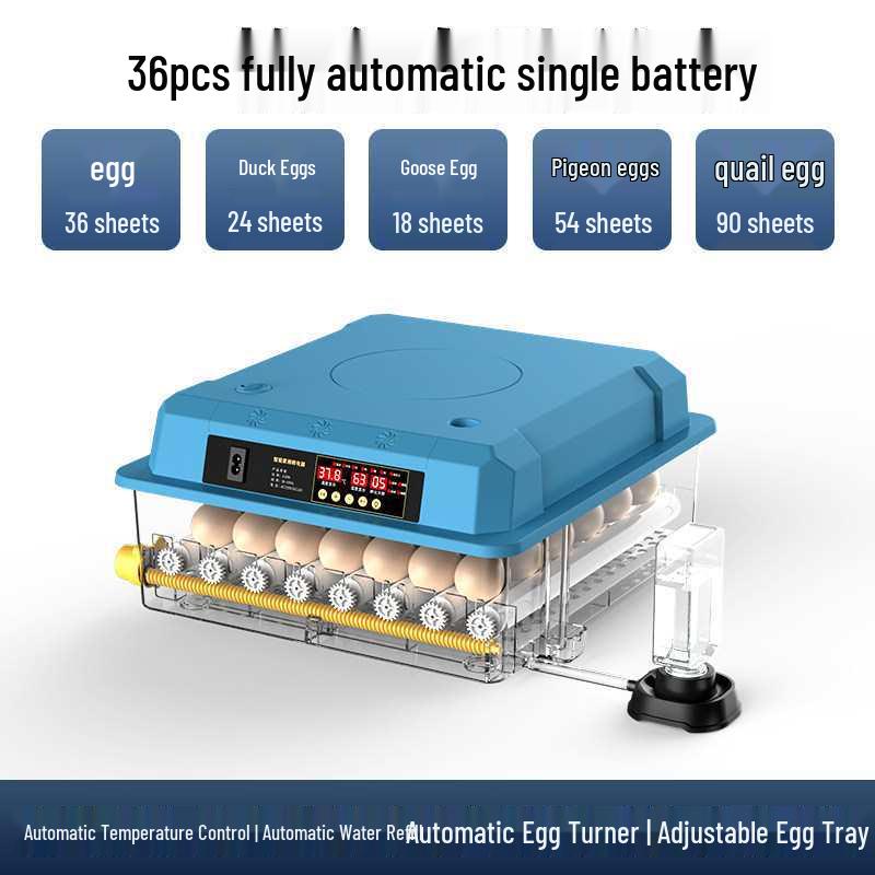 Smart Mini Household Incubator: Fully Automatic Quail & Chicken Egg Incubator with Constant Temperature Control