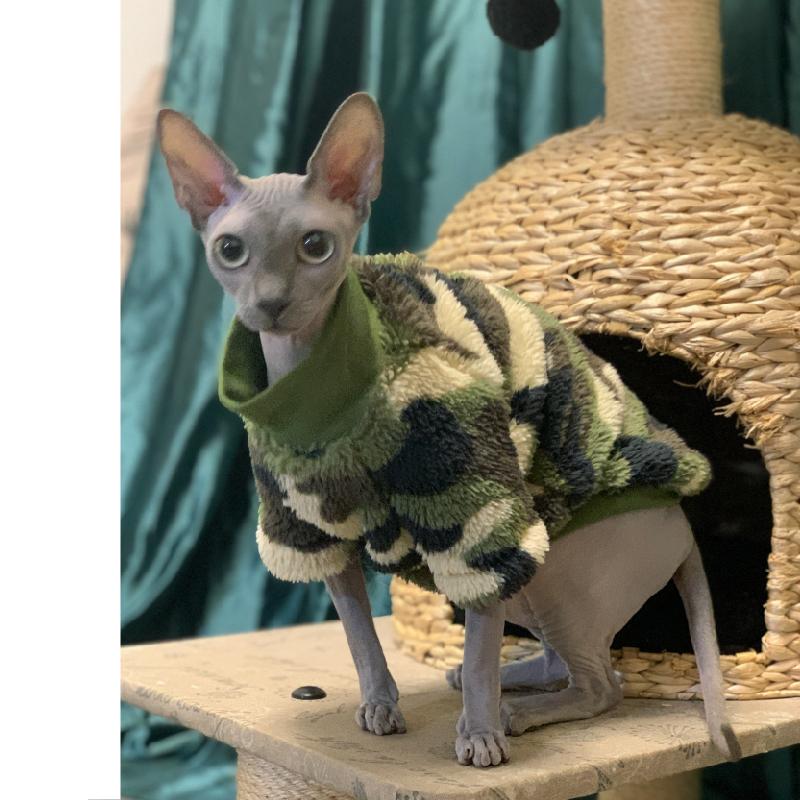 Frühlings Sphinx Katze Kleidung Armeegrün Haustier Hoodies für Sphynx Weiches Shirt Warmer Kätzchen Overall Devon Rex Herbst Kätzchen Outfit