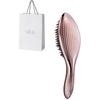 ReFa AILE BRUSH RAY
