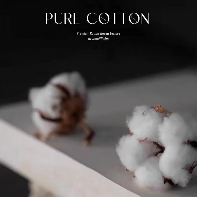 Hongdou Mulberry Silk Blend Comforter