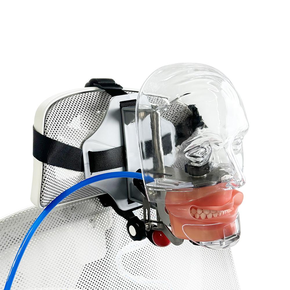 Model Capian Phantom Dentar Cu 28/32 Dinți de Rezervă Simulator Stomatologic Echipament Typodont Pentru Predarea Studierii Medicilor Dentisti Fierbinte