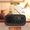 Philips TAR1100 Portable Bluetooth Radio Speaker (CN version)