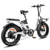 Electric Bicycle Foldable FAFREES 20" 750W Motor Top Speed 45Km/h 48V 30AH Max Range 200Km F20 X-Max