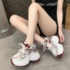 Women's Breathable Mesh Dad Shoes New Autumn Thick Bottom Casual Sports Walking Shoes Retro 10CM High Platform Chunky Sneakers