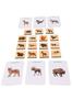 Wooden Memory Game - Animals from Polish Forests with Educational Cards