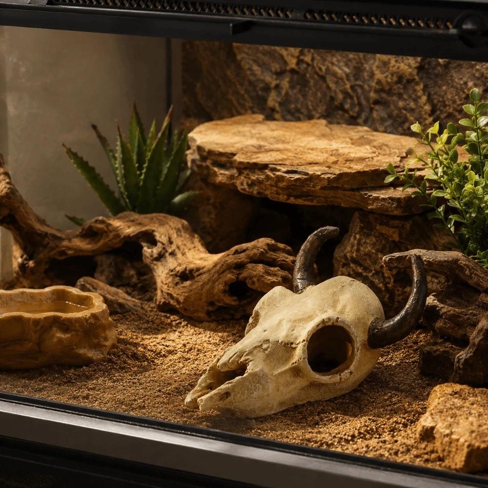Kreative 3D-Schädel-Reptilienhöhle Ausgeschnittenes Reptilien-Kletterunterschlupf Aquarien-Enthusiasten