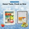 Constant Temperature Portable Cooler Box Compact Size Mini Fridge Dual Use Cooler  Travel Storage