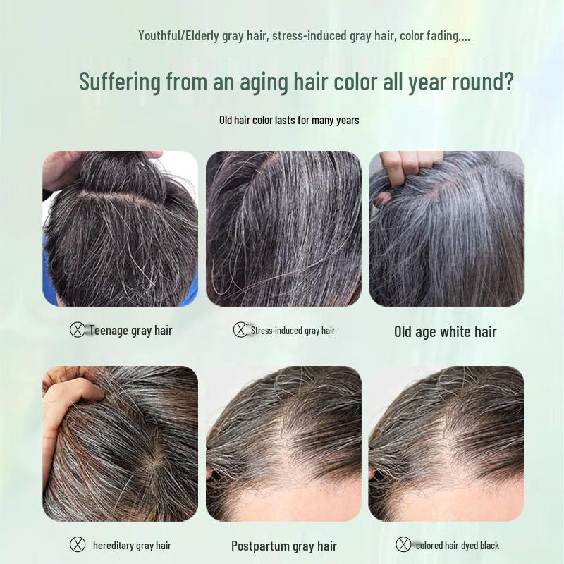 Fa Jueshi Natural Plant-Based Bubble Hair Dye