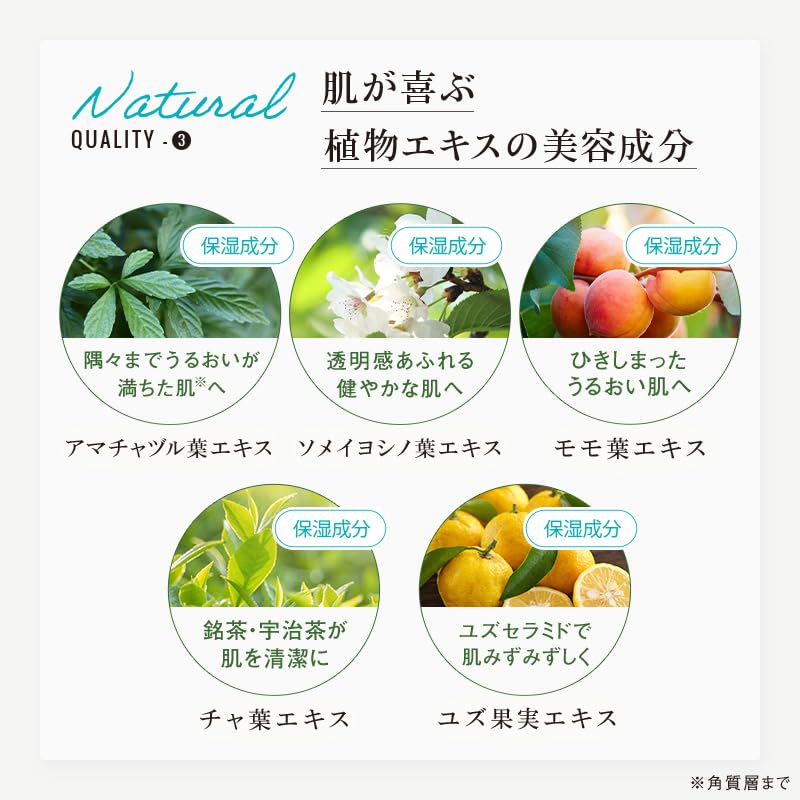 KAMIKA Smooth Body Soap [Liquid Soap, Meringue Foam, Naturally Derived Cleansing Ingredients, Moisturizing] Pear & Freesia Scent 480ml1 bottle