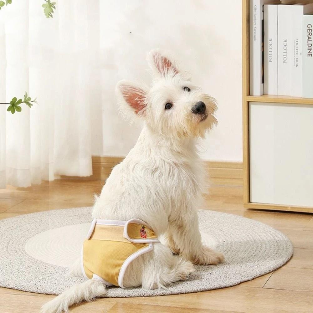 Embroidery Dog Diapers Fruit Print Pet Menstrual Panties Dog Shorts Underwear Menstrual Period