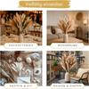 Feather Decoration 44cm High - Beautiful Bouquets, Dried Flowers, Feather Grass - Used For Wedding Or Dried Flower Decoration.