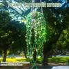 Crystal Leaf Pieces Beaded Plant Kit with Plant Pots Beads Plant Craft  for Plant Lovers