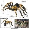 Children's Tarantula Model Toy - Realistic Prank Spider for Halloween & Cognitive Play