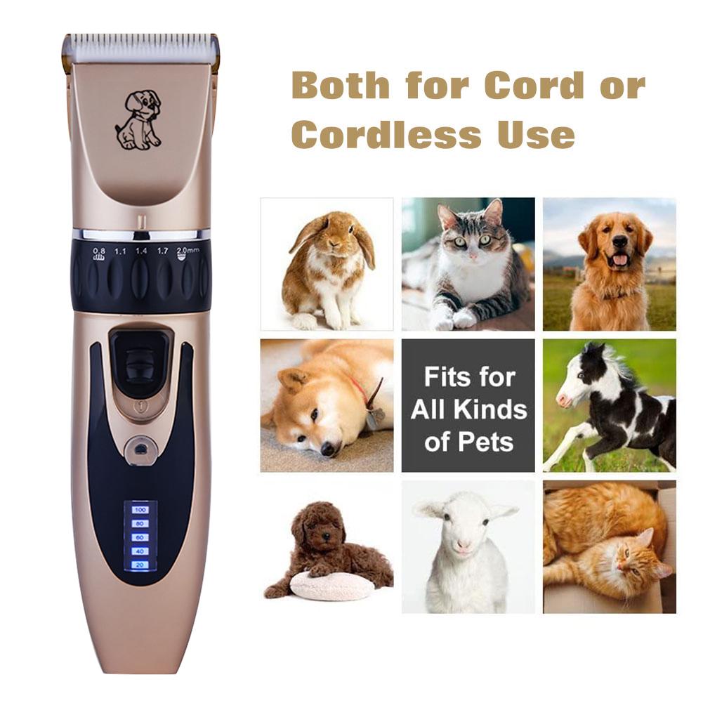 dog clippers prices