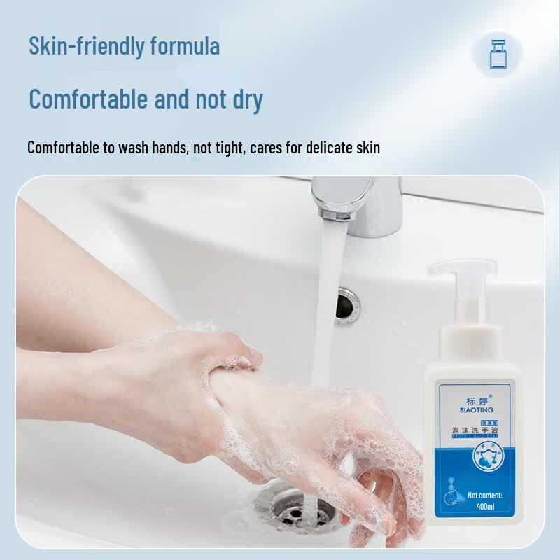 Biaoting Foaming Hand Wash