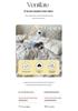 Pastoral Retro French Lace Skin-friendly Bubble Gauze Washed Cotton 4-Piece Bed Set - Su Jin Series