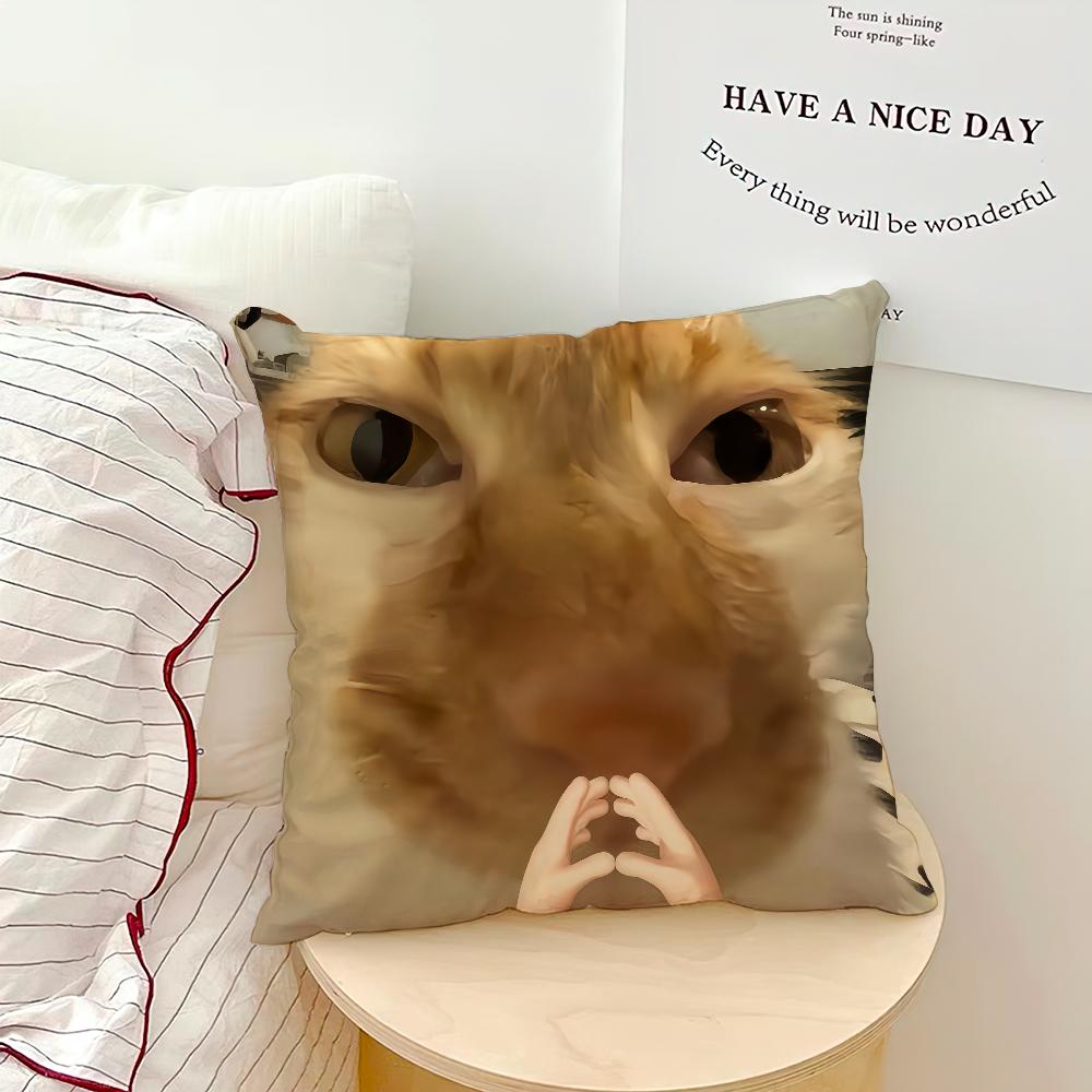 Cute Funny Cat Meme Abstract Kitten Cushion Cover Soft Pillow Case for Sofa Living Room Home Office Decor Protective Covers