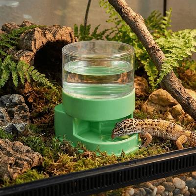 Reptiles – Terrarios de reptiles