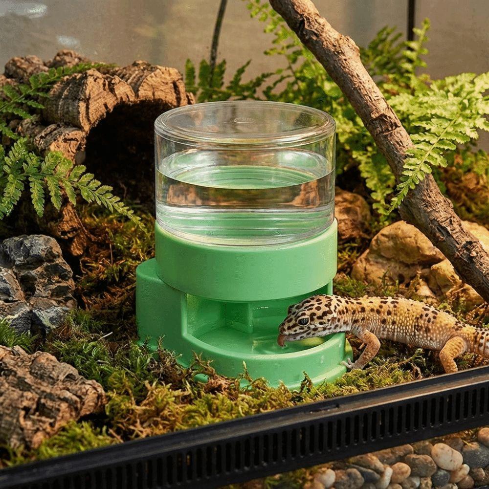 Plastic Automatic Water Dish Anti-slip Base Reptile Water Dispenser  for Amphibians