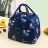 Box Lunch Handbag Insulated Bento With Aluminum Foil Thickened Bag By Hand Gift