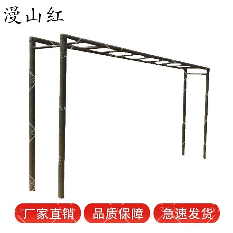 Outdoor Obstacle Course Horizontal Ladder