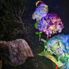 Fairy Hydrangea Light, LED Solar Powered Outdoor Garden Stake Lights  Artificial Hydrangea Flower Light for Path Yard Walkway Patio