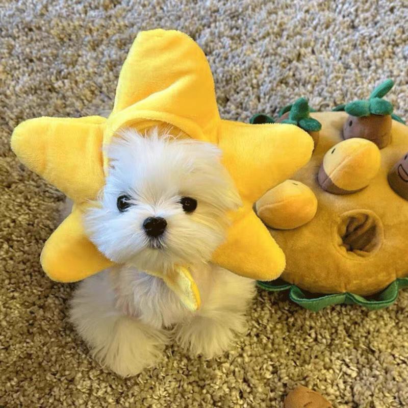 Pet Hat Cute Plush Animal Headwear Various Adorable Soft Photo Prop Cosplay Headgear For Small Cats Puppy Pet Party Decoration