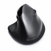 Sanwa Ergonomic Rechargeable Wireless Mouse