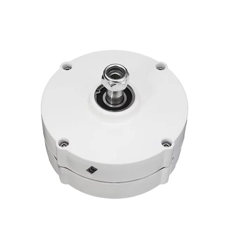 10KW Low RPM Permanent Magnet Generator 10000W 12V 24V 48V Three Phase AC Small Alternator For DIY Wind Turbine 12V