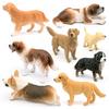 Childrens Pvc Animal Models Featuring Labrador Bernese Mountain And Corgi For Playroom Decor