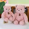 Cartoon Gala Bear Plush Toy Couple Teddy Bear Valentine's Day Gift Children's Sleeping Pillow Souvenir