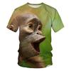 Lustiges Tier Affe 3D Grafik T-Shirt Y2k Kleidung Herren Sommer Harajuku Stil T-Shirts Kinder Freizeit Rundhals Kurzarm T-Shirts Tops