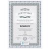 Часы Bobroff Bf1002M65 43 Mm