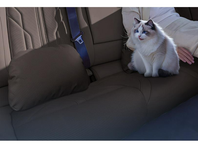 Wuling Xingguang 730 Interior Accessories: Headrest, Lumbar, Neck, and Waist Support