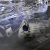 Collana di Zaffiri Blu Reale e Diamanti: Catena Lunga di Lusso con Chiusura a Moschettone per un Look Semplice ed Elegante