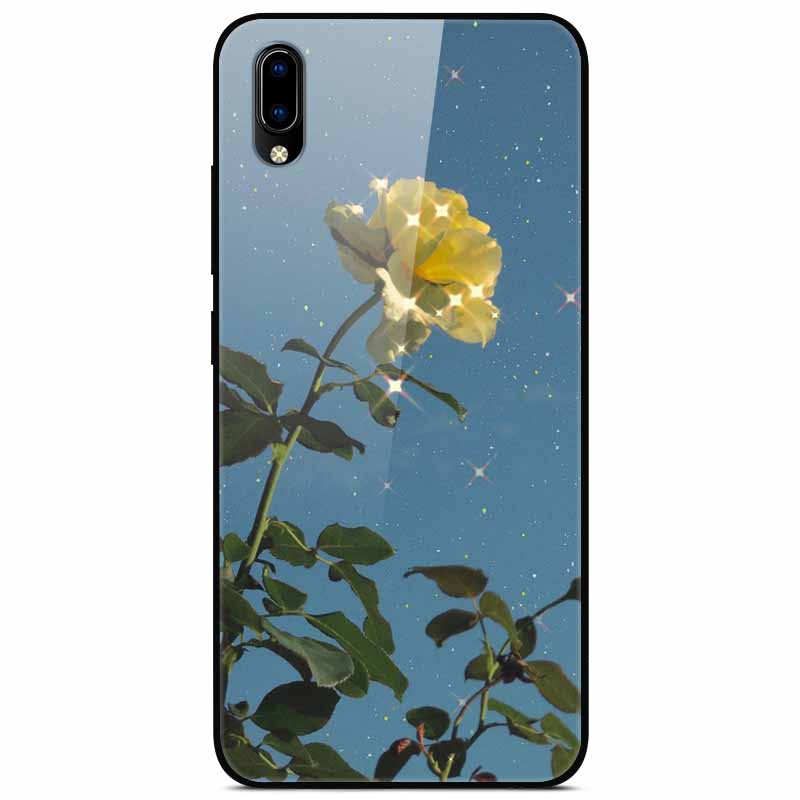 Für vivo V17 Hüllen V17 Pro Gehärtetes Glas Harte Rückseite Für Vivo V15 Pro Handyhülle Coque Für Vivo X50 Pro Lite Hülle X 50Lite