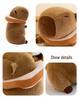 Capybara Plush Toy Doll - Cartoon Throw Pillow & Stuffed Animal Birthday Gift