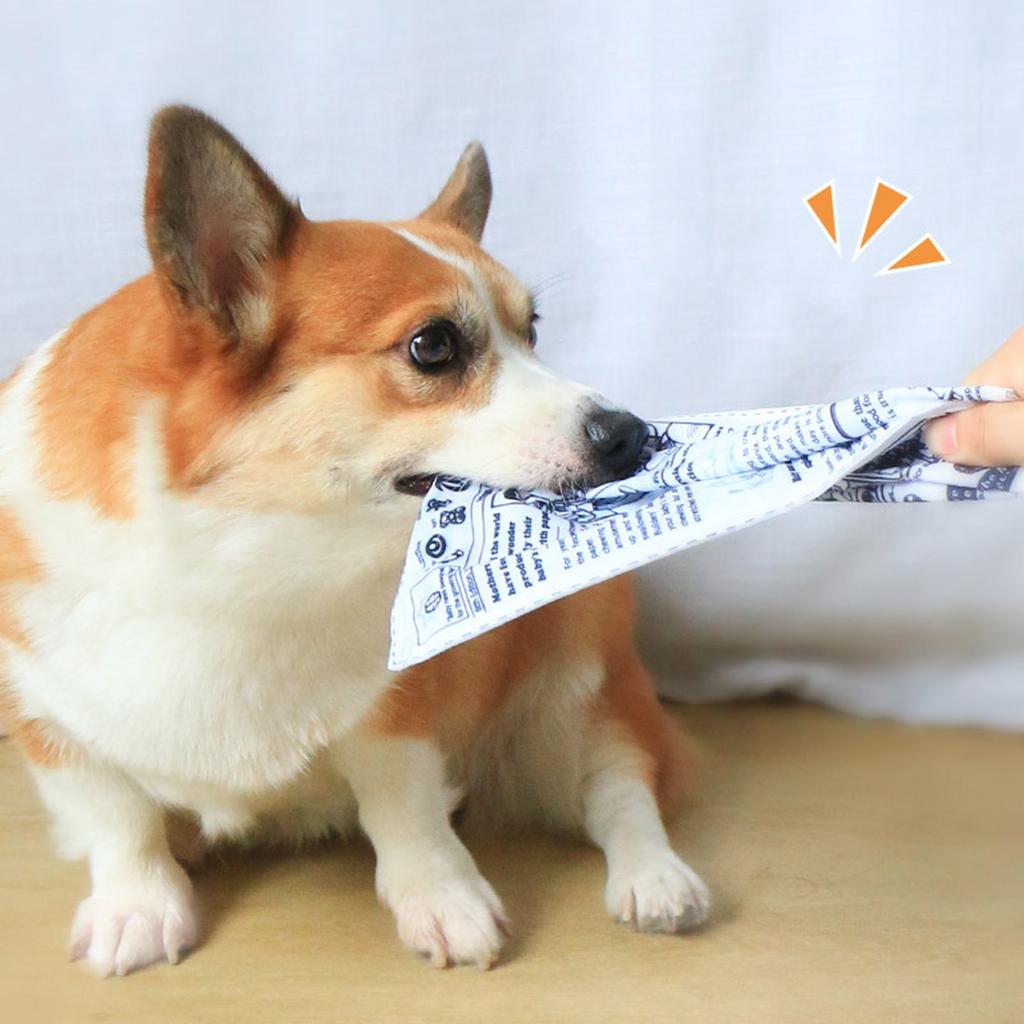 Interactive Unstuffed Dog Chew Toy for Small and Medium Dogs Squeak Toy Newspaper Reducing Boredom & Anxiety