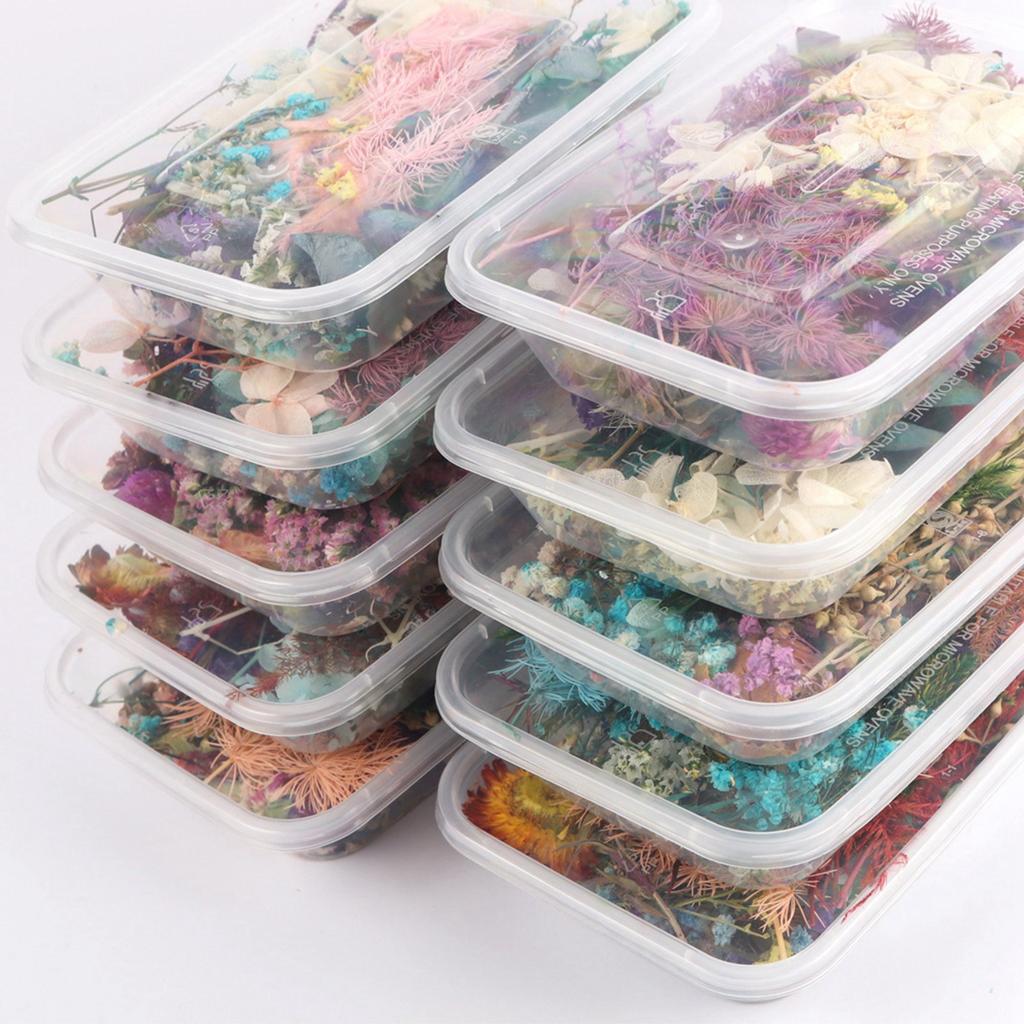 Gemischte Trockenblumen für Scrapbooking Seifen- und Kerzenherstellung Dekoration DIY Bastelbedarf