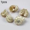 1pcs Natural Conch Shell Silver Mouth Hermit Crab Replacement Shell Specimen Decoration Collect F0M4