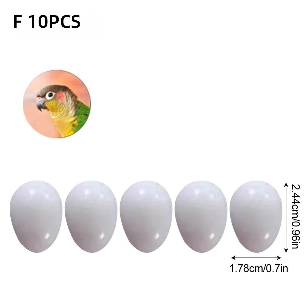 10pcs Realistic Dummy Eggs Multi-size Parrot Eggs Model Simulation Bird Eggs  For Budgie Cockatiel