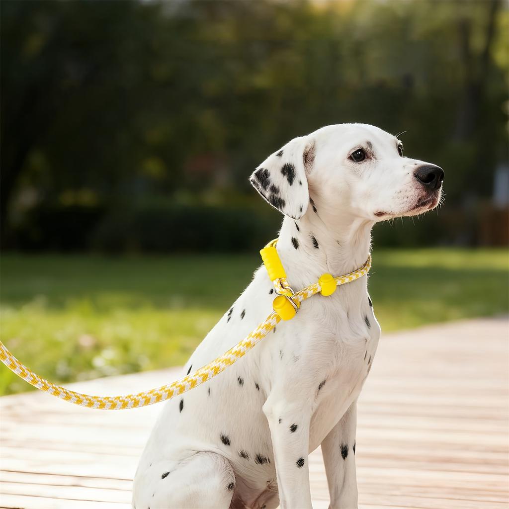 Howgo Hund Hundeleine, Training , No-Pull Leine und Halsband, Schwerlast & Nylon, Gepolsterter Griff, für Alle Rassen (Mintgrün, 1,1 m)