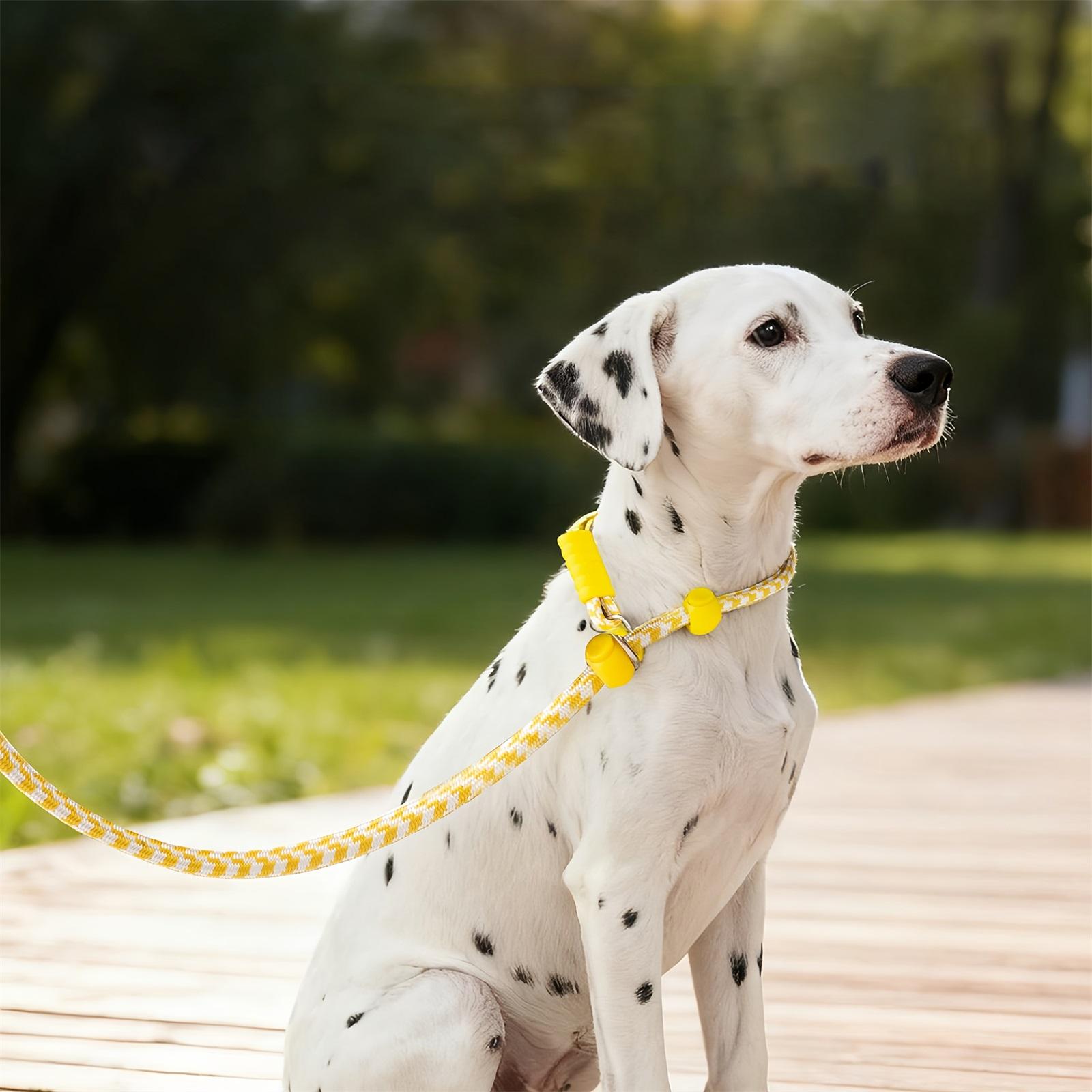 

Howgo Dog Dog Leash, Training , No-Pull Leash and Collar, Heavy Duty & Nylon, Padded Handle, for All Breeds (MintGreen, 3.6FT) One Size