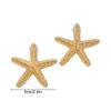 Gold Starfish Earrings Studs Sea Sea Beach Earrings Elegant Marine Organism Ear Studs  Party