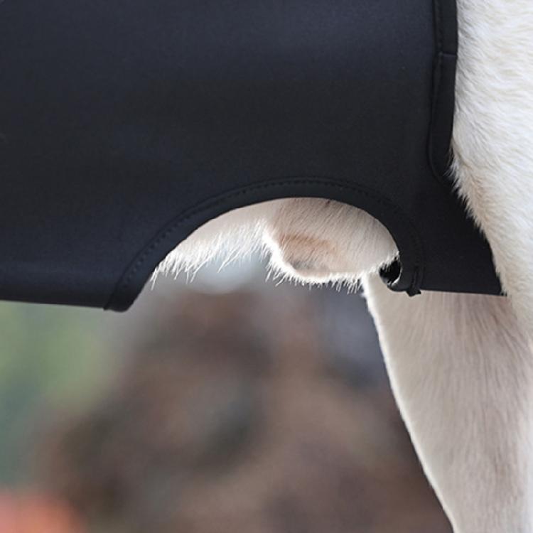 Adjustable Dog Sling for Large Dogs Pet Dog Legs Support Strap Senior Dog Supply