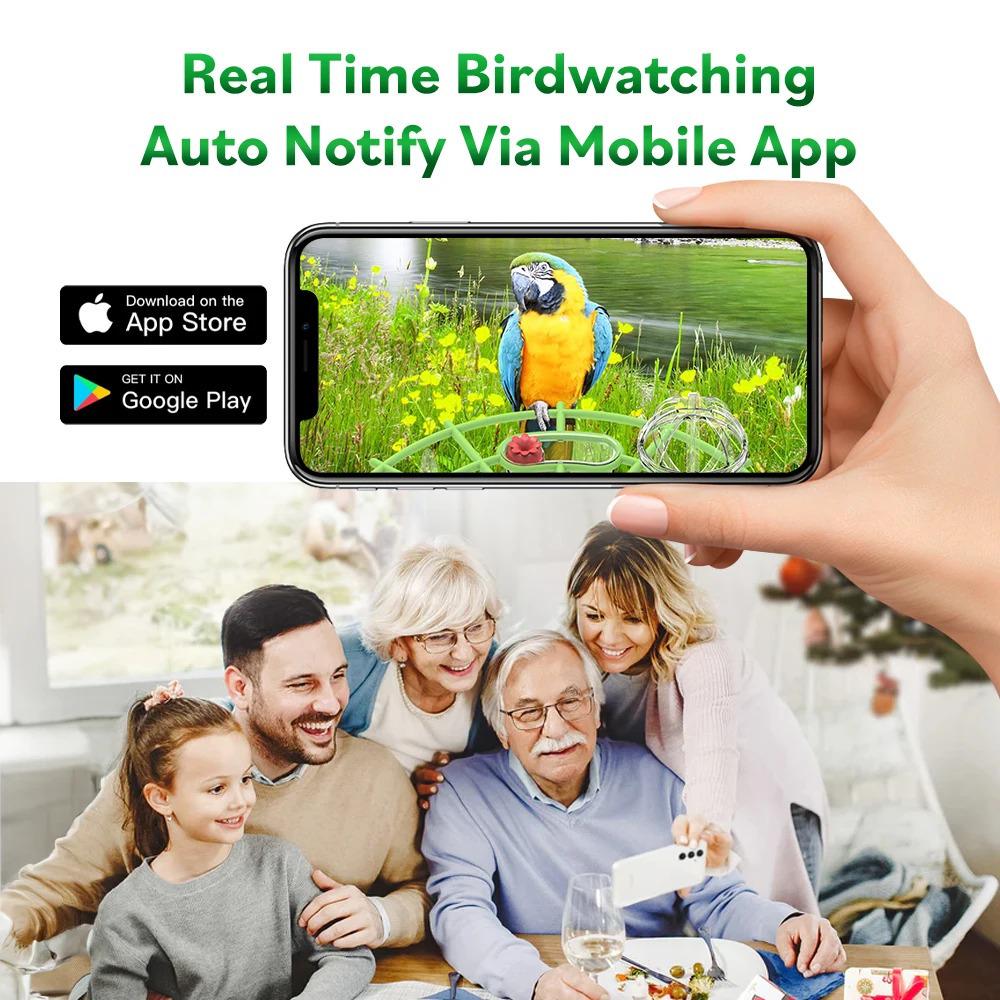 Smart Solar Bird Feeder with AI Recognition and Low Power HD Camera